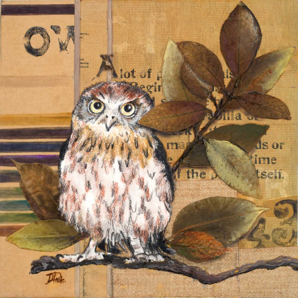 Little Owls I art print by Patricia Pinto for $57.95 CAD