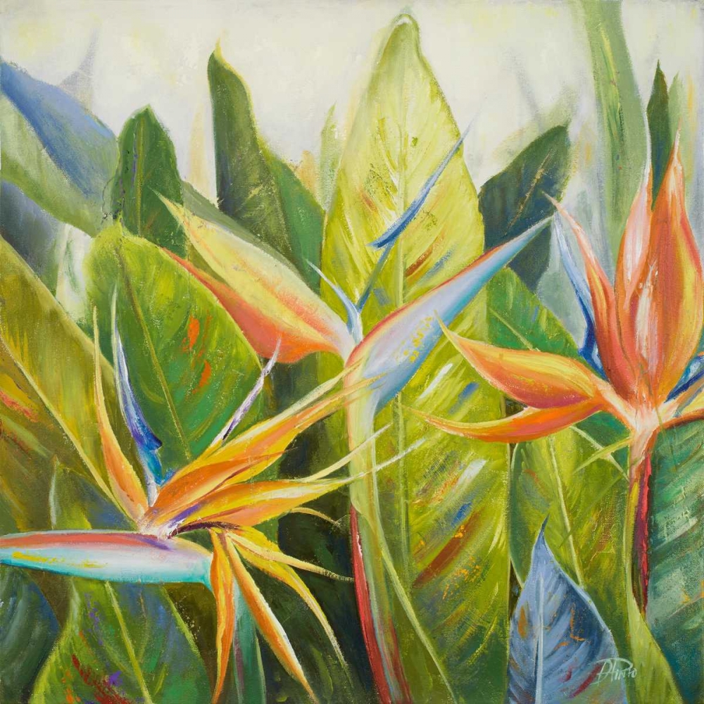 Bird of Paradise I art print by Patricia Pinto for $57.95 CAD
