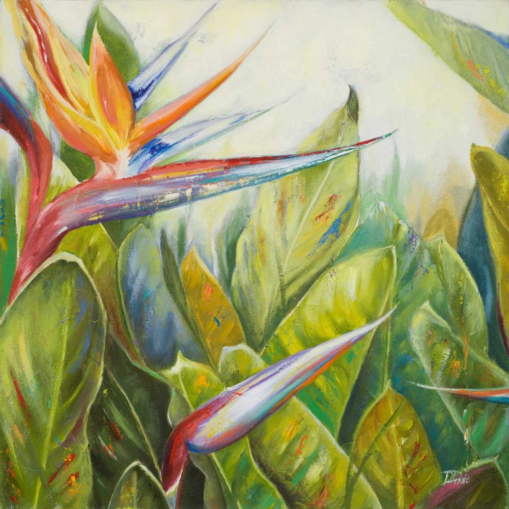 Bird of Paradise II art print by Patricia Pinto for $57.95 CAD