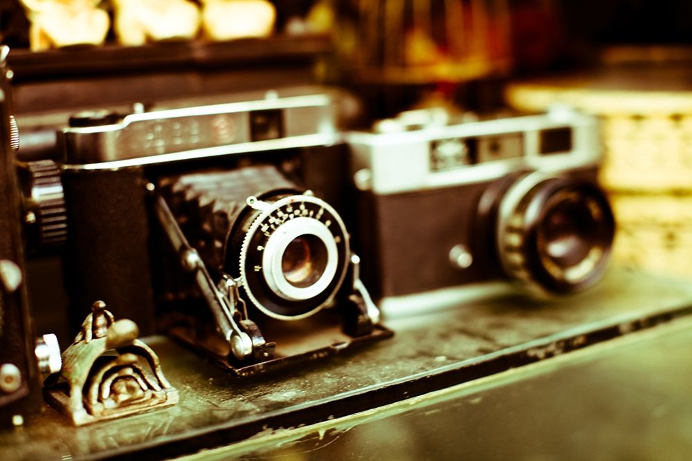 Vintage Cameras art print by Susan Bryant for $57.95 CAD