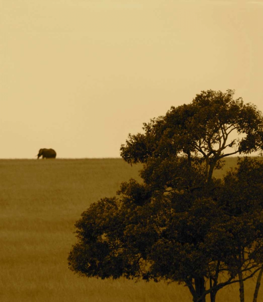 Elephant Pack III art print by Susan Bryant for $57.95 CAD