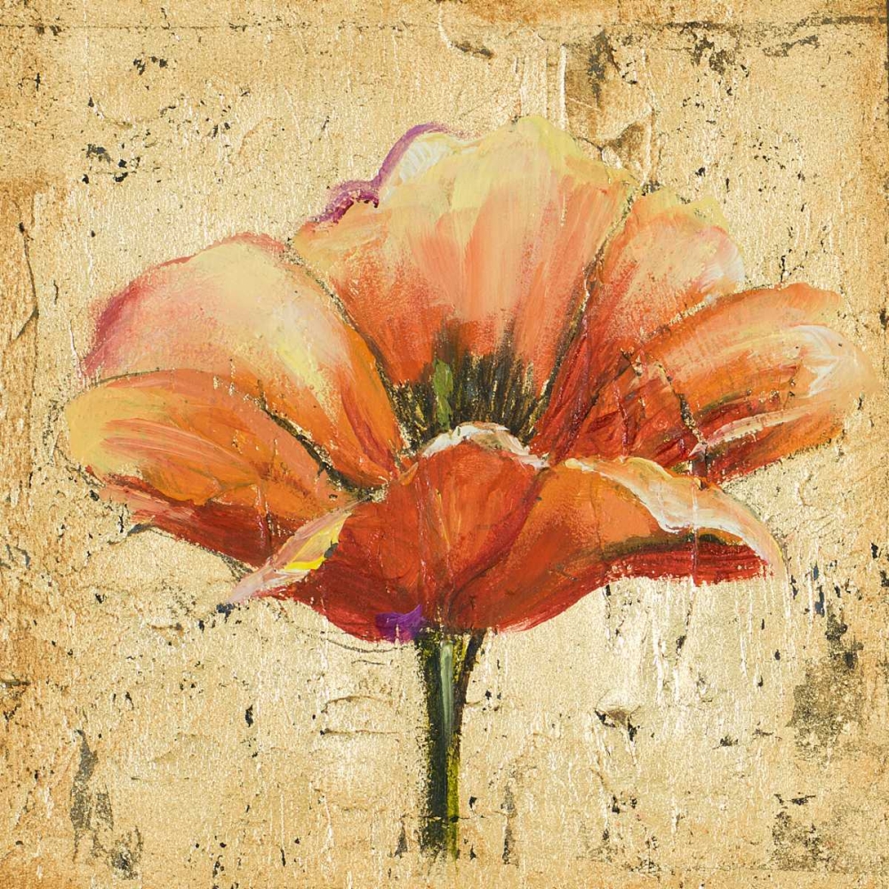Poppy III art print by Patricia Pinto for $57.95 CAD