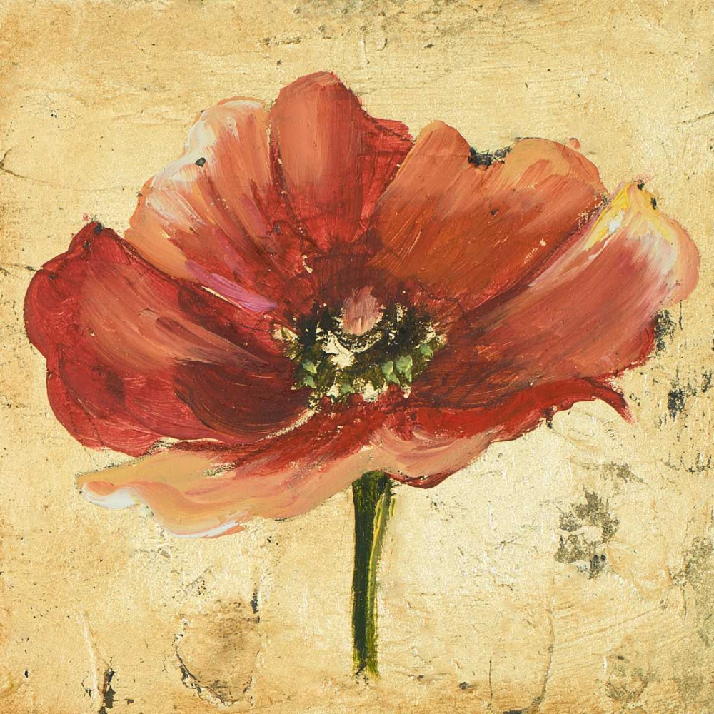 Poppy IV art print by Patricia Pinto for $57.95 CAD