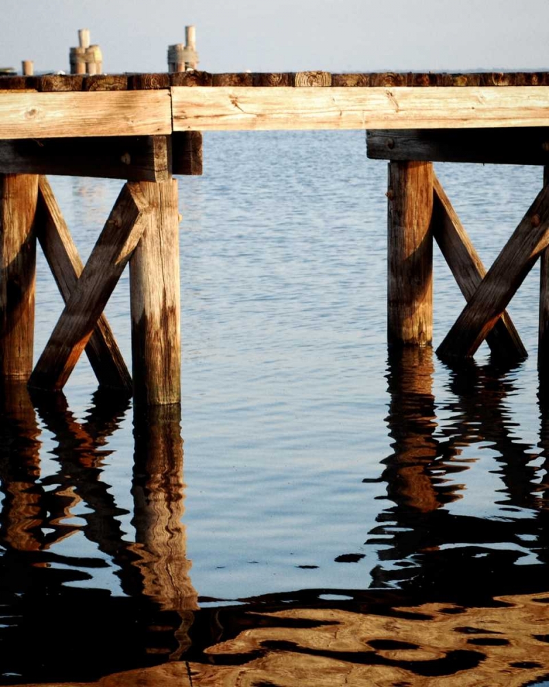 Waterside Beauty I art print by Gail Peck for $57.95 CAD