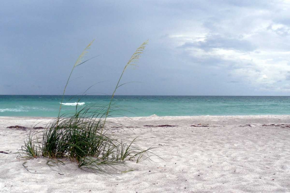 Shoreline art print by Gail Peck for $57.95 CAD