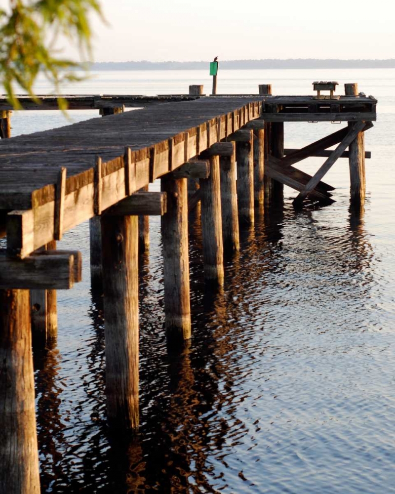 Waterside Beauty II art print by Gail Peck for $57.95 CAD