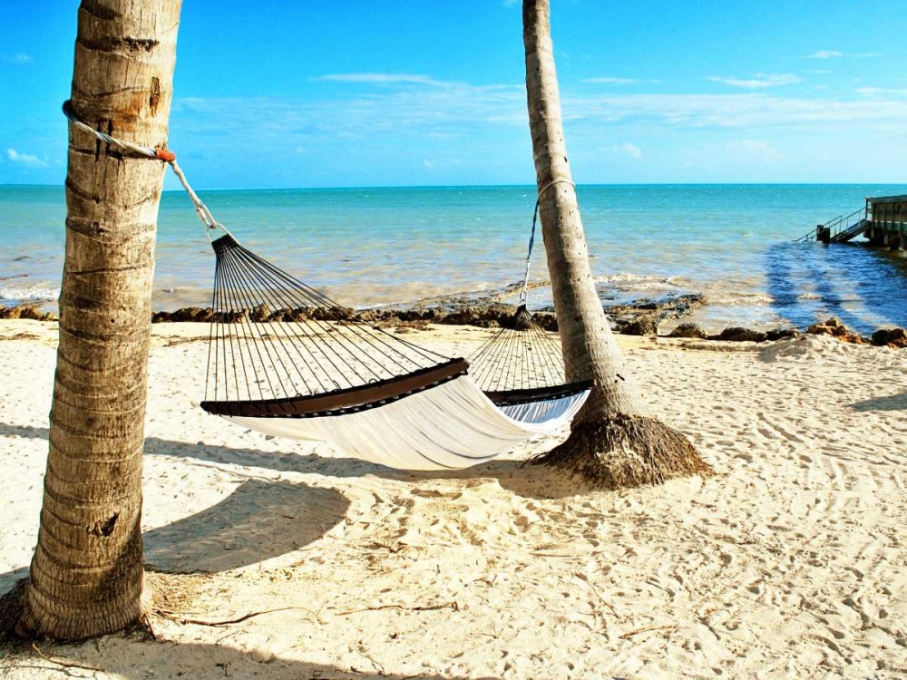 Under the Palms (24x18) art print by Gail Peck for $57.95 CAD