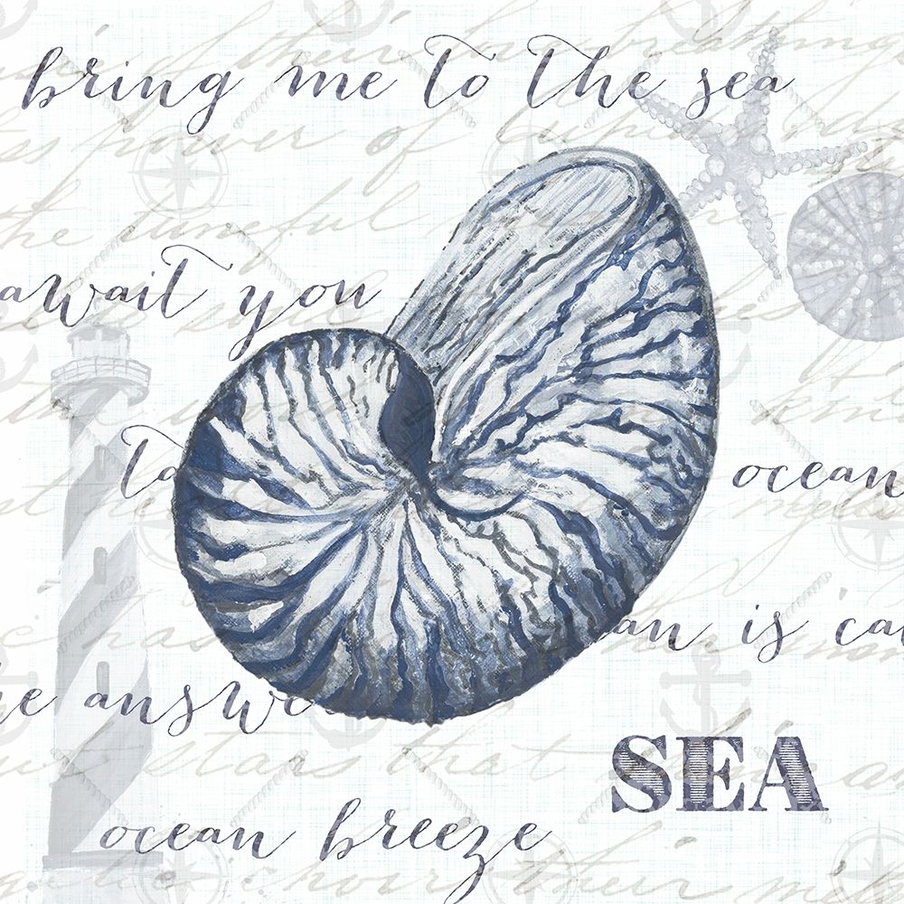 Indigo Shell II art print by Gina Ritter for $57.95 CAD