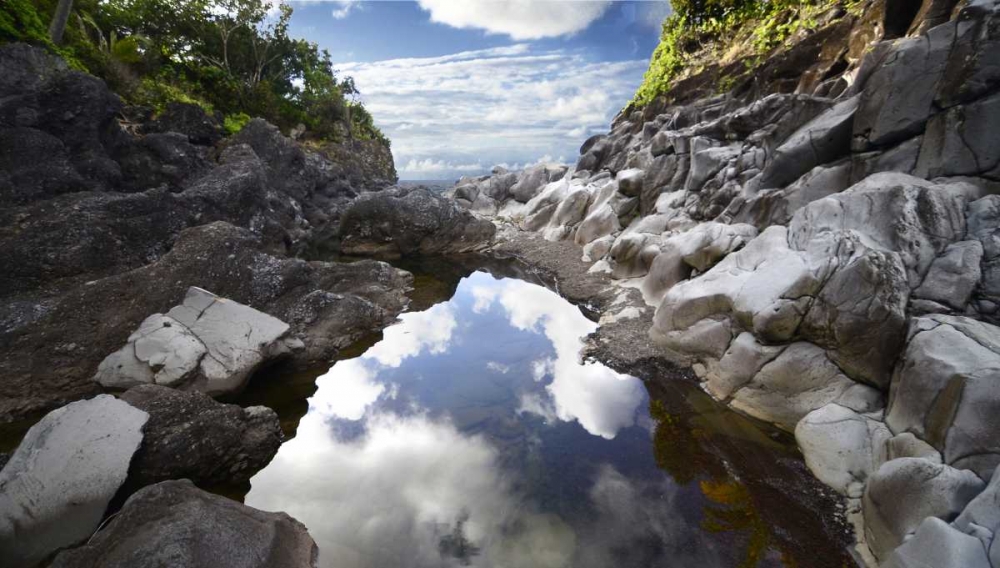 Reflecting Ravine art print by Bruce Nawrocke for $57.95 CAD