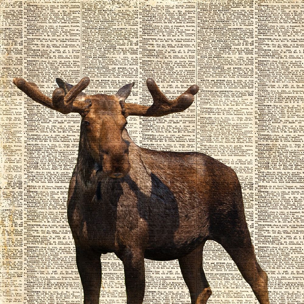 Country Moose I art print by Anna Coppel for $57.95 CAD