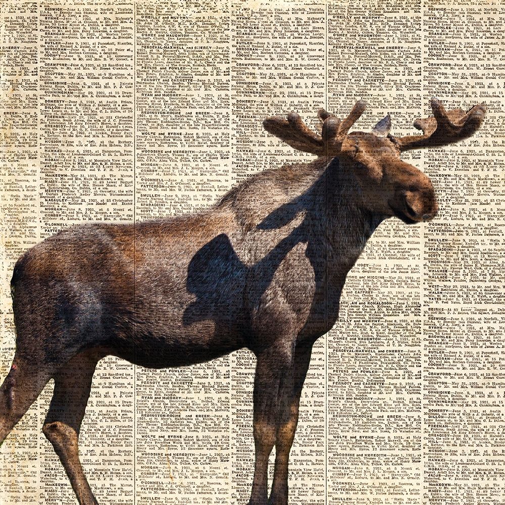 Country Moose II art print by Anna Coppel for $57.95 CAD