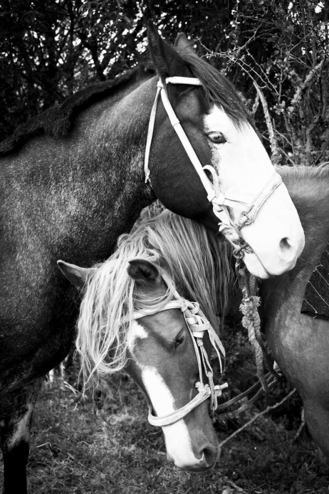 Before the Ride II art print by Anna Coppel for $57.95 CAD
