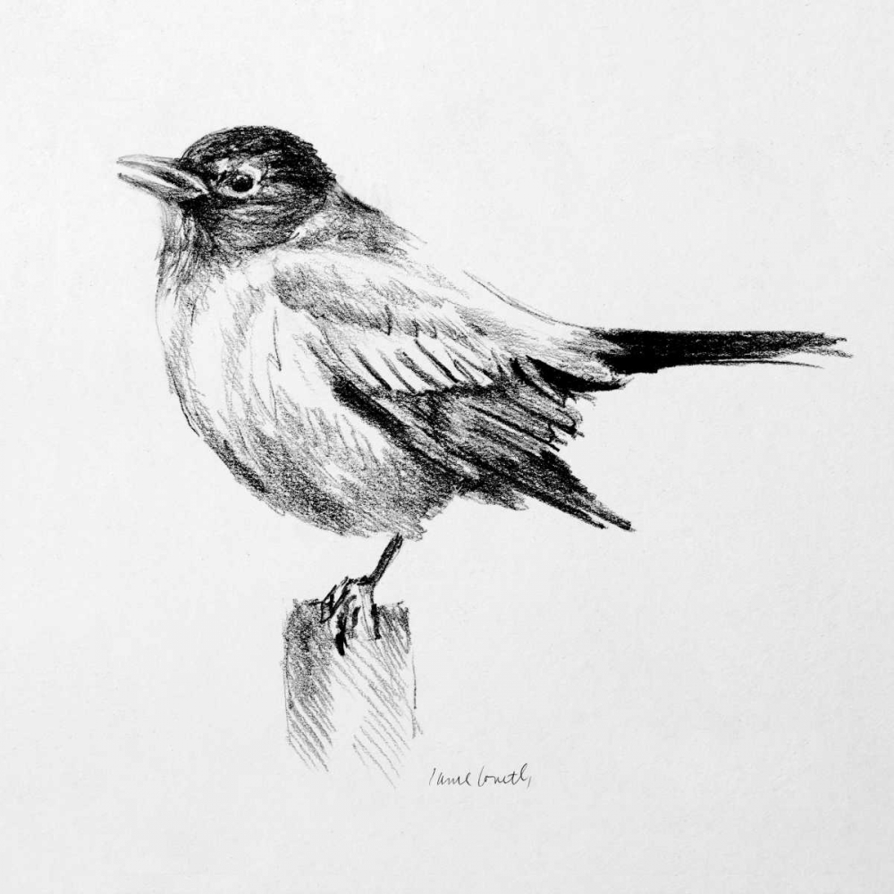Bird Drawing III art print by Lanie Loreth for $57.95 CAD
