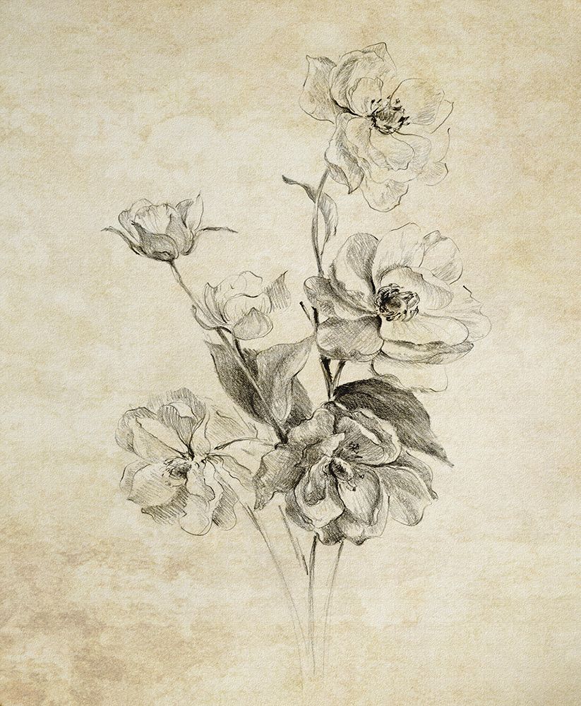 Flower Arrangement Sketch art print by Lanie Loreth for $57.95 CAD