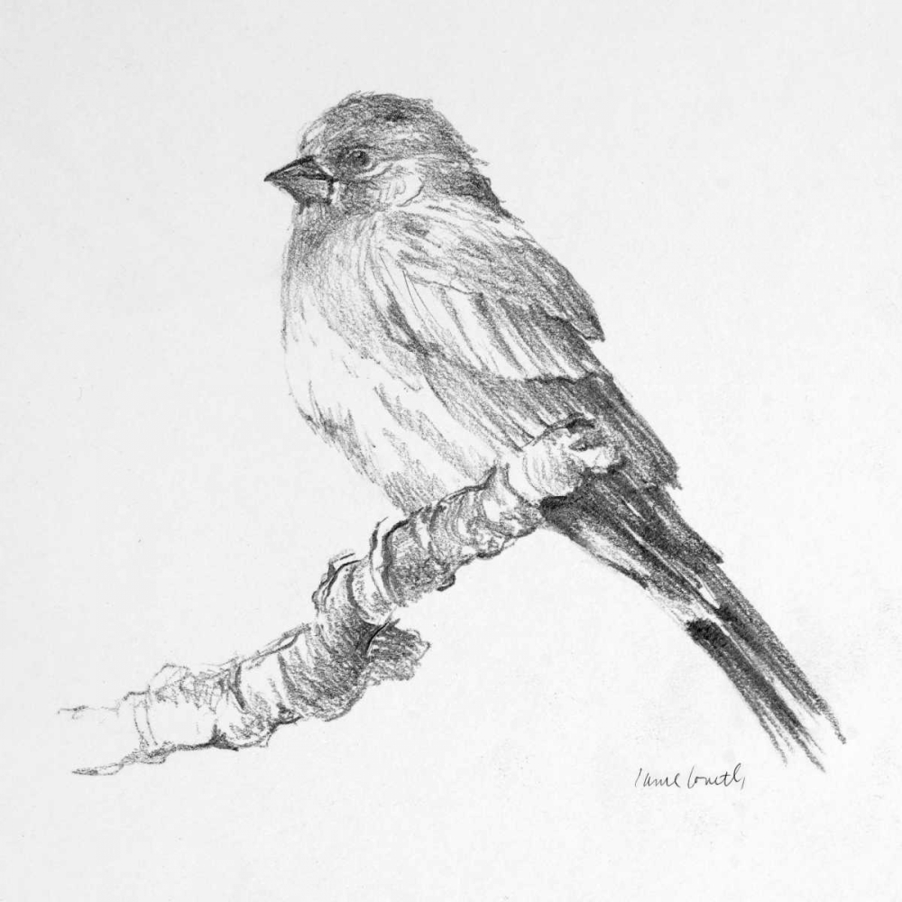 Bird Drawing I art print by Lanie Loreth for $57.95 CAD