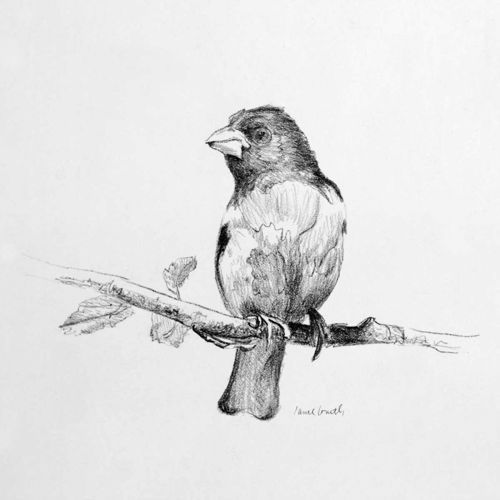Bird Drawing IV art print by Lanie Loreth for $57.95 CAD