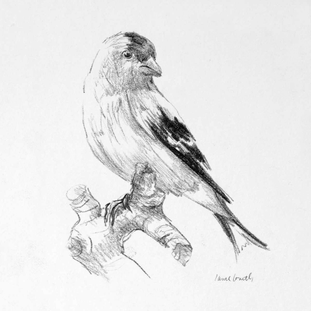 Bird Drawing II art print by Lanie Loreth for $57.95 CAD