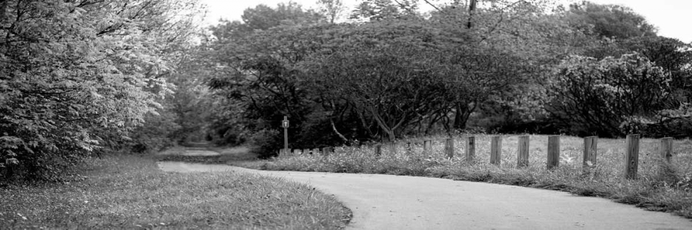 Country Road art print by Kelly Poynter for $57.95 CAD