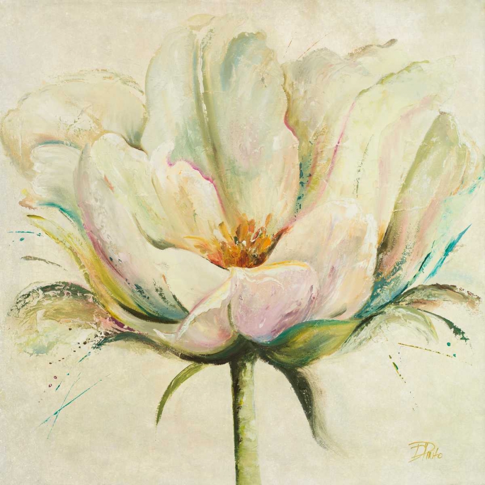 White Double Tulips II art print by Patricia Pinto for $57.95 CAD