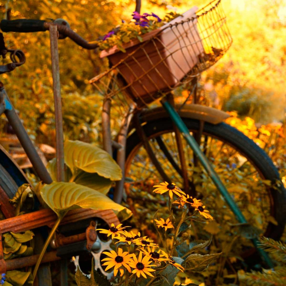 Garden Bike art print by Bruce Nawrocke for $57.95 CAD