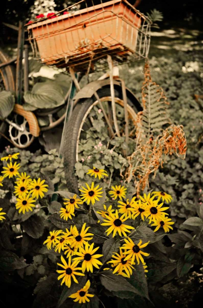 In the Fields II art print by Bruce Nawrocke for $57.95 CAD