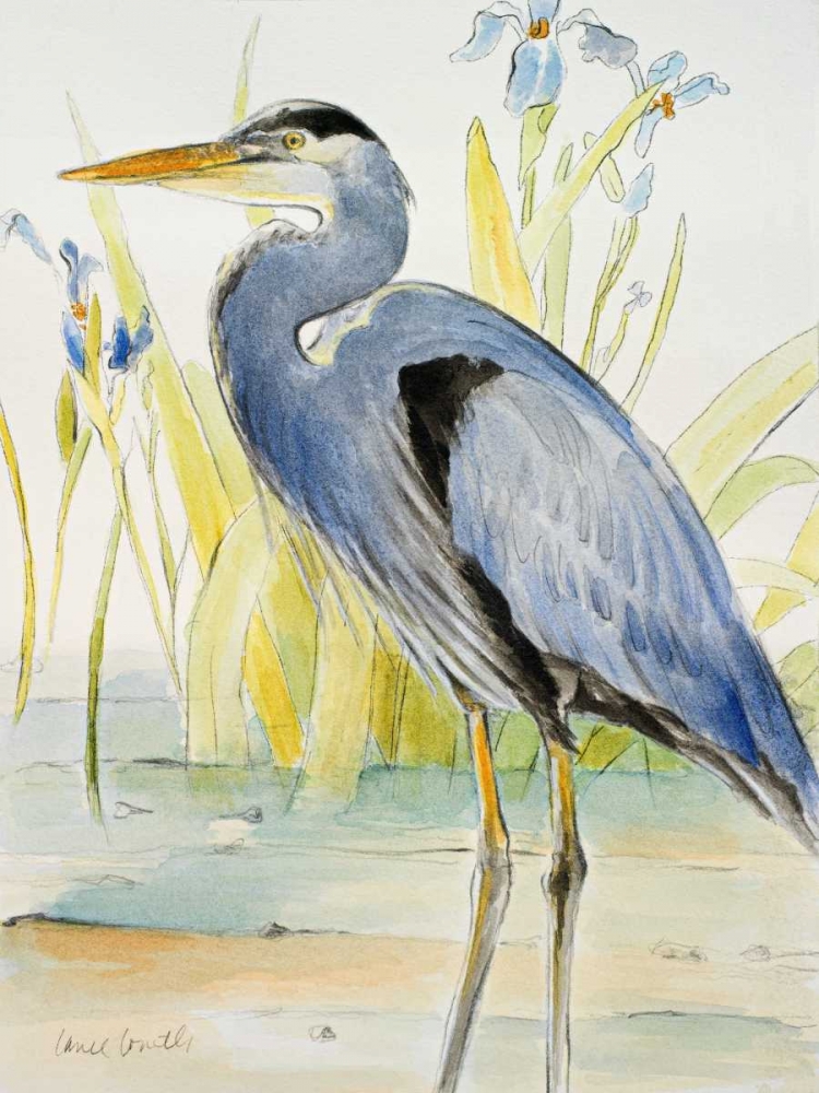 Great Blue Heron art print by Lanie Loreth for $57.95 CAD