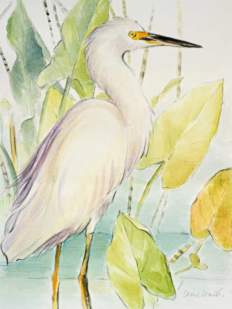 Snowy Egret art print by Lanie Loreth for $57.95 CAD