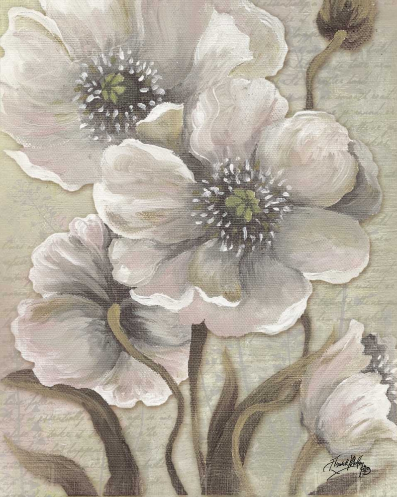 Scripted Beauty I art print by Elizabeth Medley for $57.95 CAD