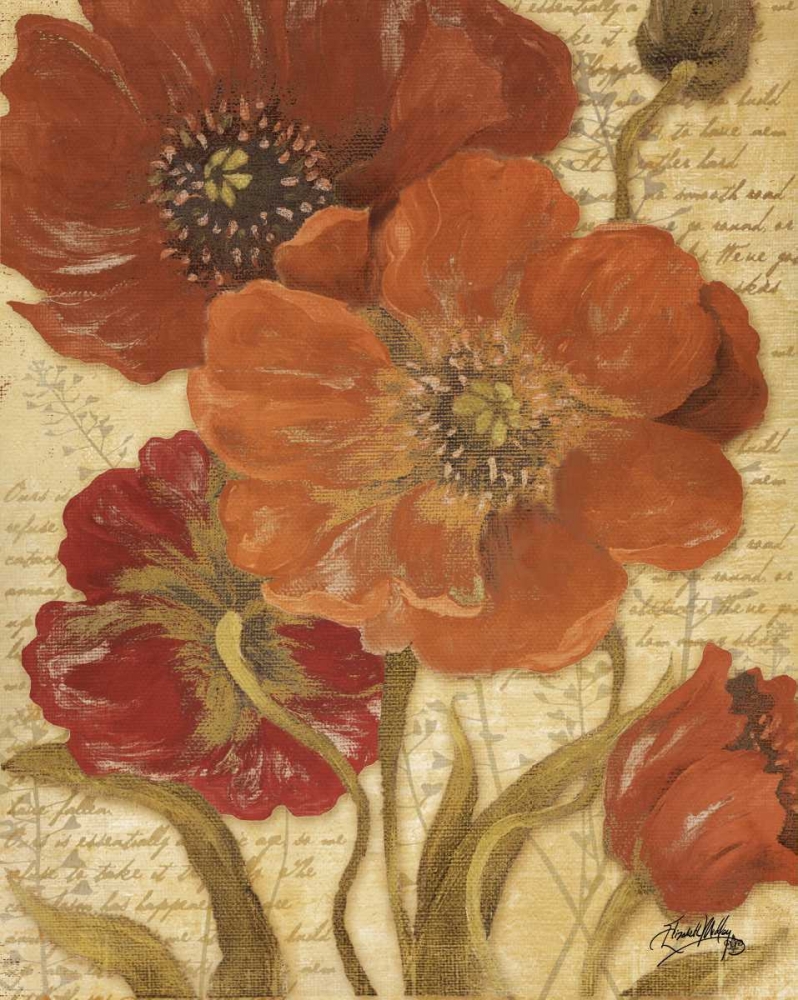 Red Scripted Beauty I art print by Elizabeth Medley for $57.95 CAD