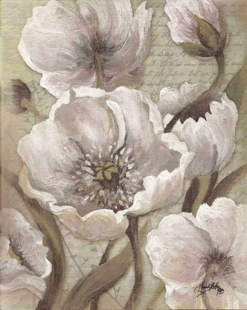 Scripted Beauty II art print by Elizabeth Medley for $57.95 CAD