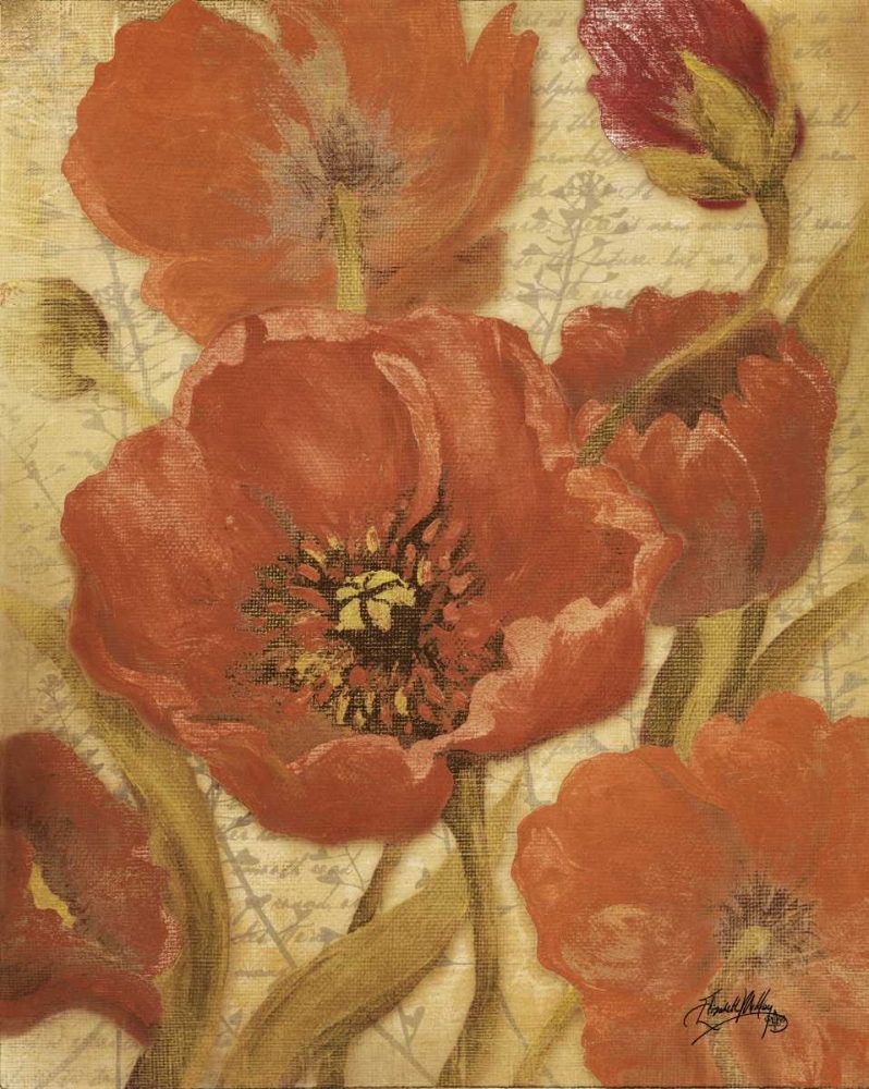 Red Scripted Beauty II art print by Elizabeth Medley for $57.95 CAD