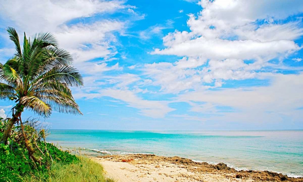 Paradise art print by Gail Peck for $57.95 CAD