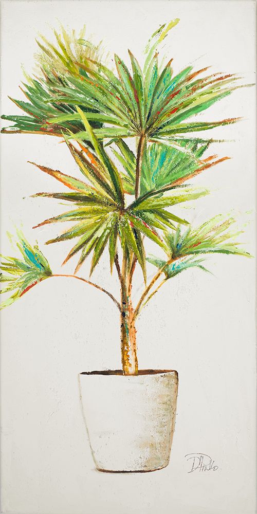 Essential Compliment on White V art print by Patricia Pinto for $57.95 CAD