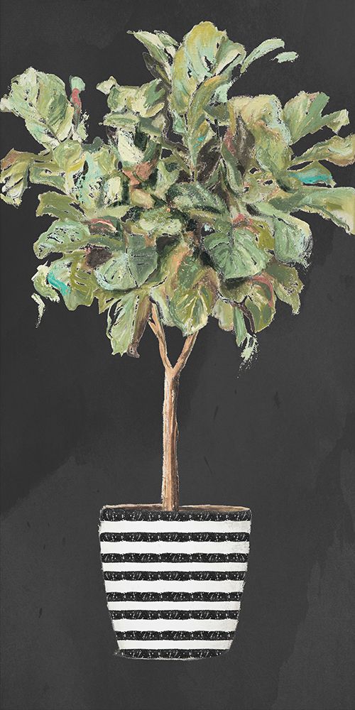 Essential Compliment on Black II art print by Patricia Pinto for $57.95 CAD