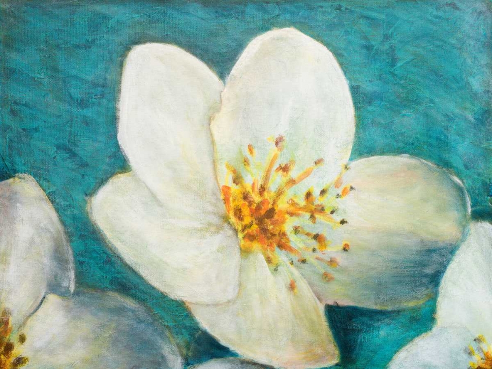 Purely Elegant I art print by Walt Johnson for $57.95 CAD