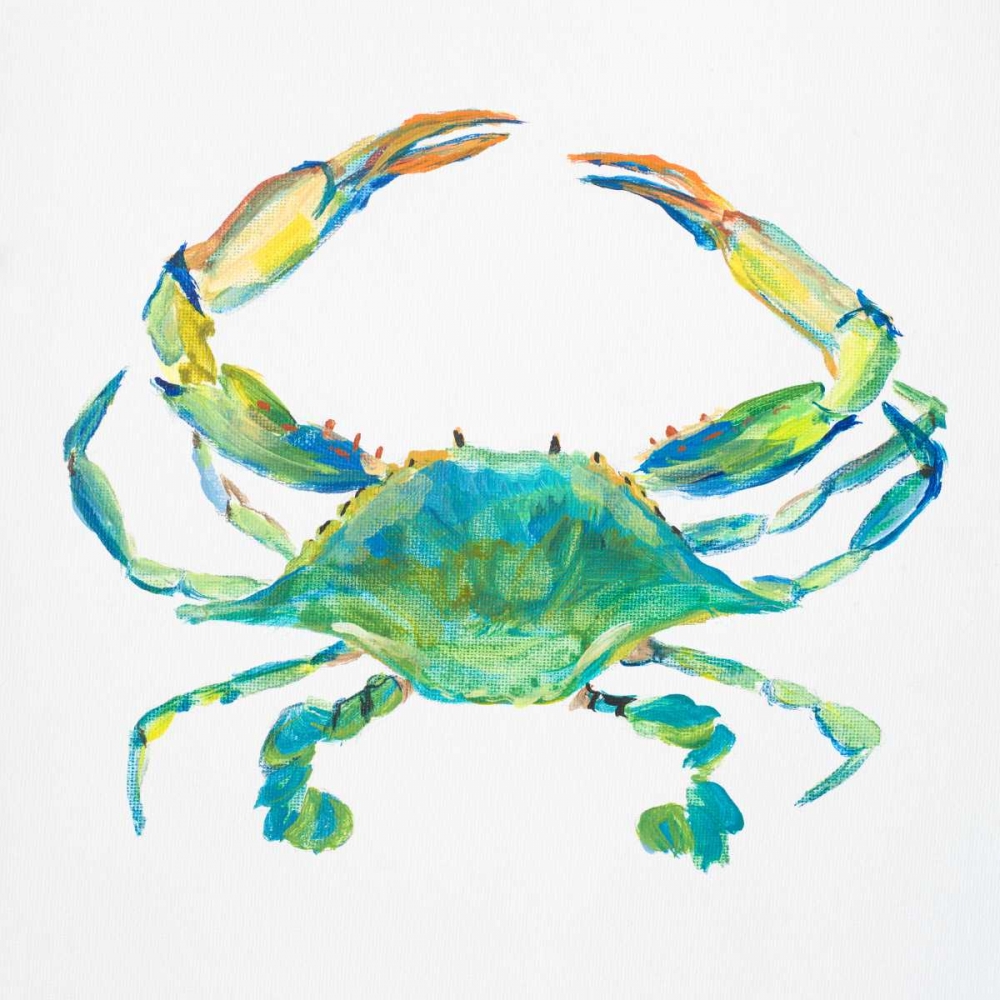 Sealife IV art print by Julie DeRice for $57.95 CAD
