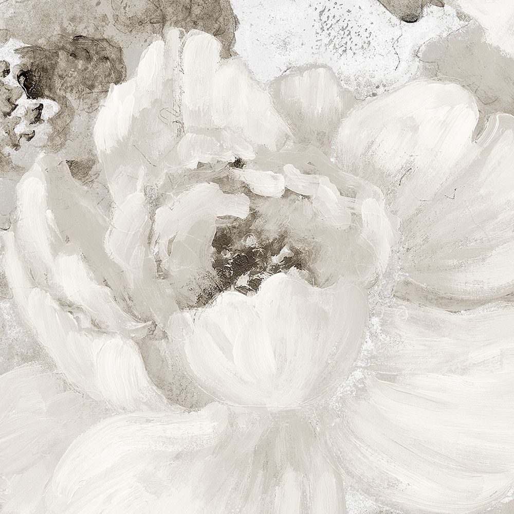 Light Grey Flowers I art print by Lanie Loreth for $57.95 CAD