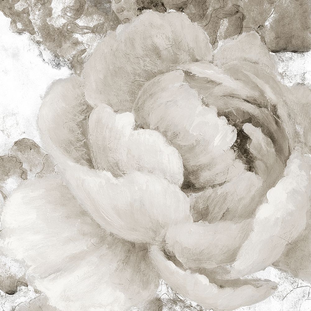 Light Grey Flowers II art print by Lanie Loreth for $57.95 CAD