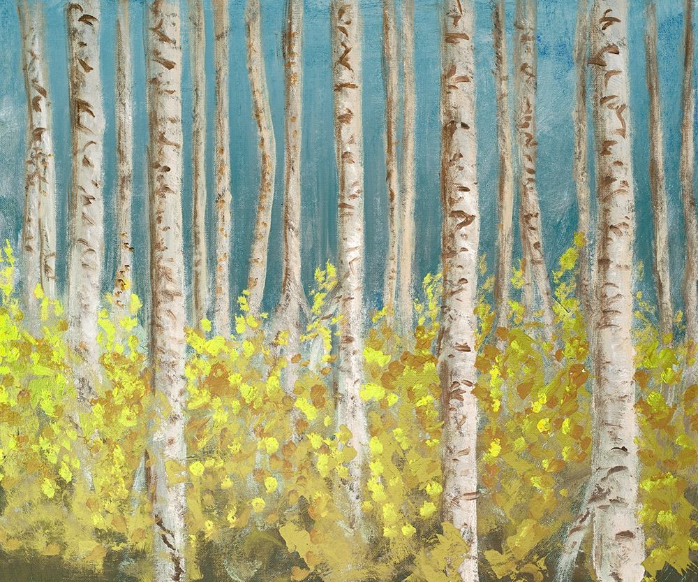 Golden Birchwood art print by Walt Johnson for $57.95 CAD