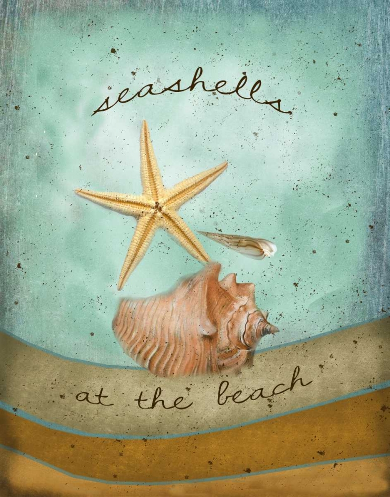 Seashells art print by Beth Albert for $57.95 CAD