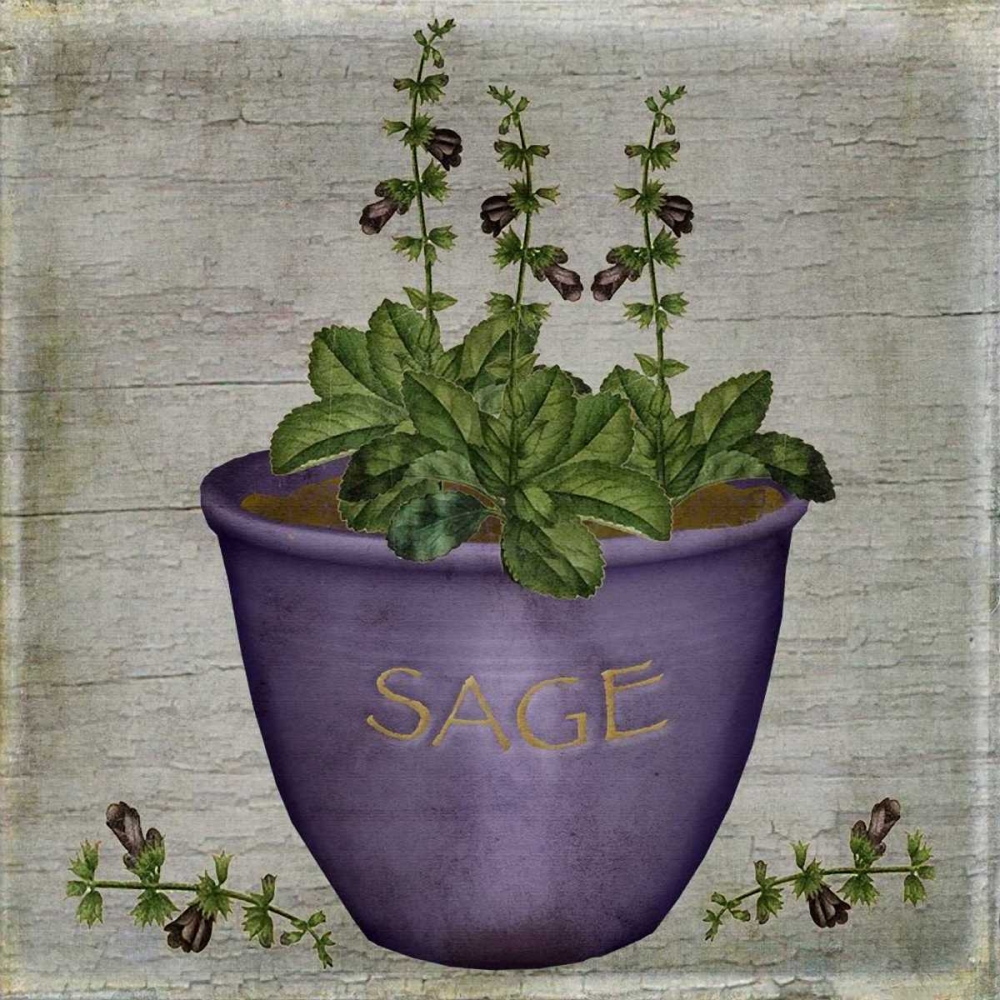 Herb Sage art print by Beth Albert for $57.95 CAD
