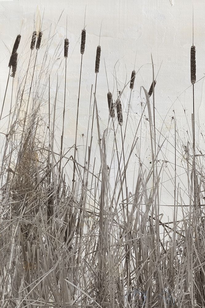 Kates Rushes I art print by Deborah Revell for $57.95 CAD