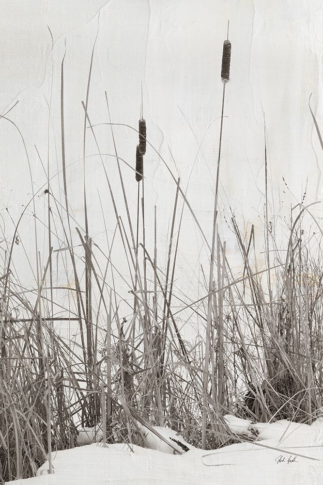 Kates Rushes II art print by Deborah Revell for $57.95 CAD
