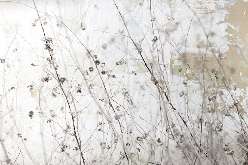Still Wild I art print by Deborah Revell for $57.95 CAD