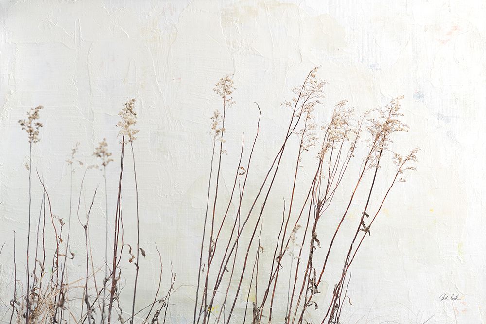 Still Wild III art print by Deborah Revell for $57.95 CAD