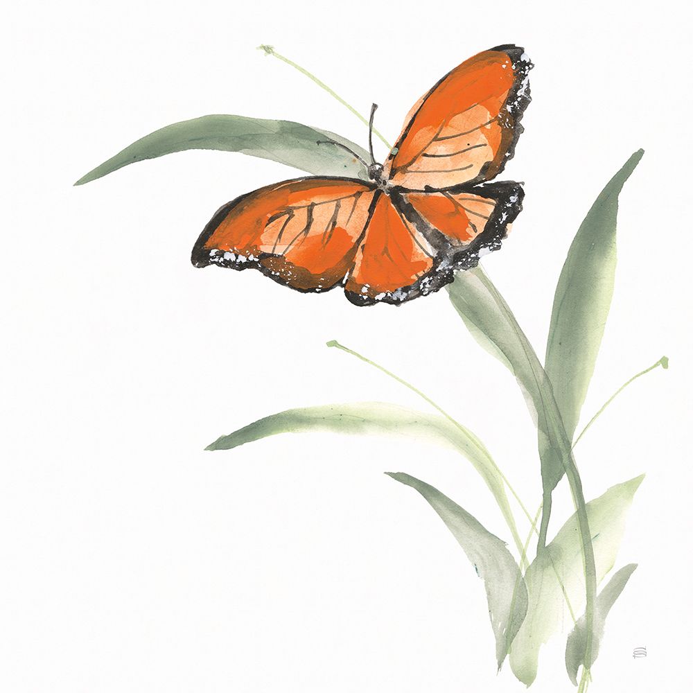 Butterfly Orange I art print by Chris Paschke for $57.95 CAD