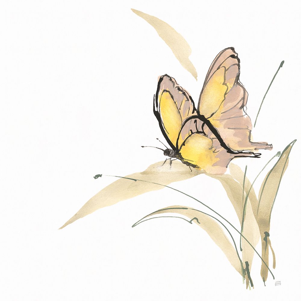 Butterfly Yellow II art print by Chris Paschke for $57.95 CAD