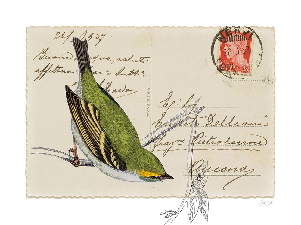 Postcard Bird I art print by Deborah Revell for $57.95 CAD