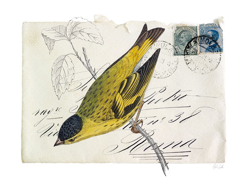 Postcard Bird II art print by Deborah Revell for $57.95 CAD