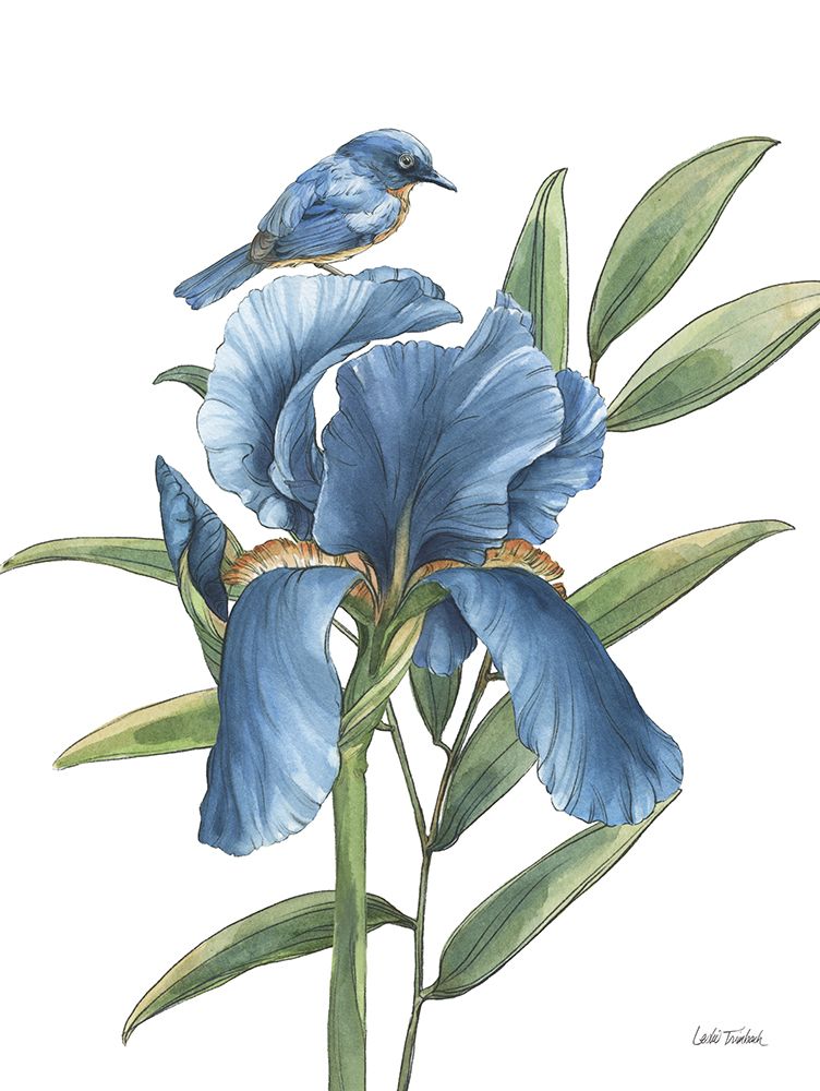 Blue Botanica VII art print by Leslie Trimbach for $57.95 CAD